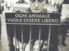 Attivisti Essere Animali Piazza Duomo Milano 13 Aprile