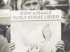 Essere Animali - Salva un agnello