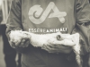 Essere Animali - Salva un agnello