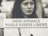 Essere Animali - Salva un agnello