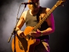 Hayseed Dixie - © Francesco Castaldo, All Rights Reserved