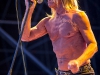 Iggy Pop - Iggy & The Stooges - © Francesco Castaldo, All Rights Reserved