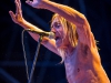 Iggy Pop - Iggy & The Stooges - © Francesco Castaldo, All Rights Reserved