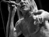 Iggy Pop - Iggy & The Stooges - © Francesco Castaldo, All Rights Reserved