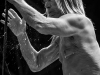 Iggy Pop - Iggy & The Stooges - © Francesco Castaldo, All Rights Reserved