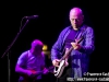 Mark Knopfler - © Francesco Castaldo, All Rights Reserved