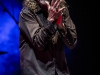 Robert Plant - © Francesco Castaldo, All Rights Reserved