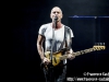 Sting - © Francesco Castaldo, All Rights Reserved