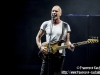 Sting - © Francesco Castaldo, All Rights Reserved