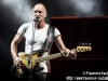 Sting - © Francesco Castaldo, All Rights Reserved