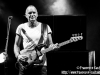 Sting - © Francesco Castaldo, All Rights Reserved